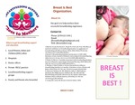 Breast Is Best! by UNE Applied Nutrition Program