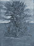 Tree I Ballycastle by Stephen Burt