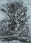 Tree III Ballycastle by Stephen Burt