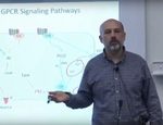 Exploring Molecular Mechanisms For The Chronification Of Pain by Derek Molliver