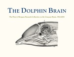 The Dolphin Brain - A Digital Presentation by Laura Taylor, Cally Gurley, Samia Pratt, and David Mokler