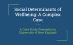 Social Determinants of Wellbeing: A Complex Case