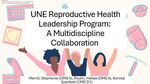 UNE Reproductive Health Leadership Program: A Multidiscipline Collaboration by Stephanie Merrill, Hailee Poulin, and Konrad Szenfeld