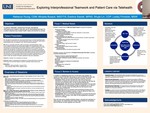 Exploring Interprofessional Teamwork And Patient Care Via Telehealth by Micaela Busack, Lesley Finneran, Shujie Lin, Ewelina Stanek, and Rebecca R. Young