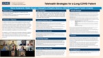 Telehealth Strategies for a Long COVID Patient by Bianca Bustamente and Natalie Kieruzel
