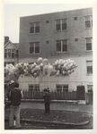 Groundbreaking ceremonies, 20 April 1978, Balloons being prepared for lift-off as part of ceremonies commemorating groundbreaking by Cranston General Hospital