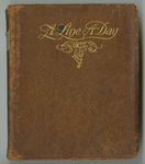 1917-1921 diary