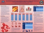 Early Mobilization And Functional Mobility Training For A Patient With Triple Vessel Coronary Artery Bypass Grafting: A Case Report