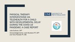 Physical Therapy Interventions Via Telehealth For A Child With Developmental Delay During The Covid-19 Pandemic: A Case Report