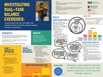 Investigating Dual Task Balance Exercises: Quantifying Practice Patterns And Understanding Decision-Making Among Physical Therapists by Amelia Sabin, Wes Spagnuolo, Narissa Libby, and Kylie Berry