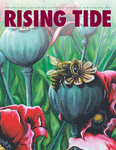 Rising Tide 2017 by UNE Office of Research and Scholarship, Ed Bilsky, Dani Deason, Philip Shelley, Jennie E. Aranovitch, Josh Pahigian, Laura M. Duffy, and Marine Miller