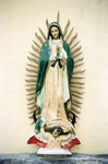 Virgen de Guadalupe by Steven Eric Byrd