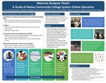 What Do Students Think? A Study of Maine Community College System Online Education