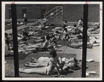 Sunbathers on "Hersey Beach", Westbrook Junior College, 1963